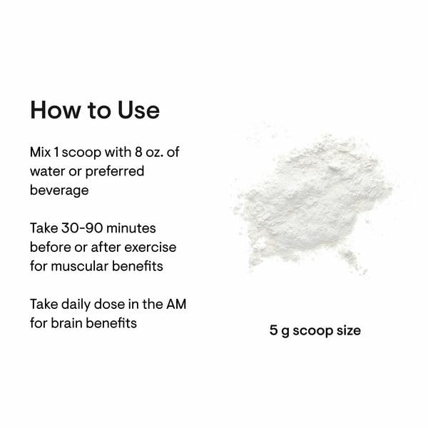 THORNE Creatine - Micronized Creatine Monohydrate Powder - Support for Muscles & Cognitive Function* - for Women & Men - Unflavored - NSF Certified for Sport