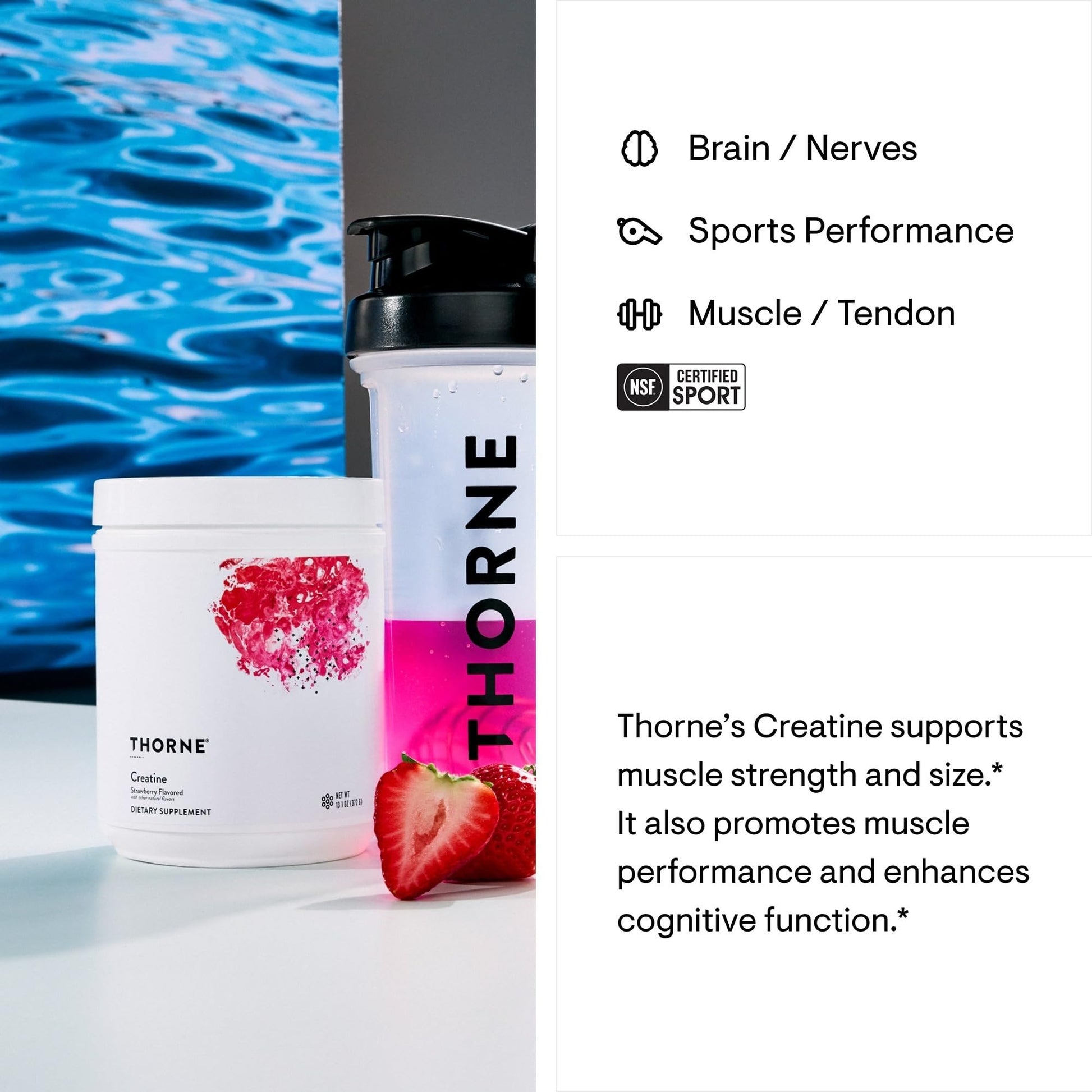 THORNE Creatine - Micronized Creatine Monohydrate Powder - Support for Muscles & Cognitive Function* - for Women & Men - Unflavored - NSF Certified for Sport